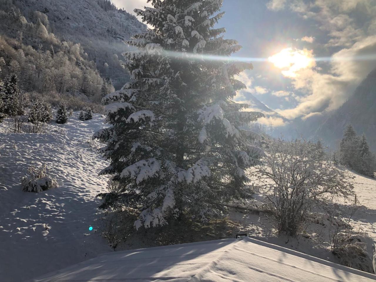Kunstleralm 3* Kaprun